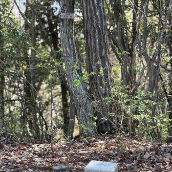 ２座目　木に吊るされている山名標識