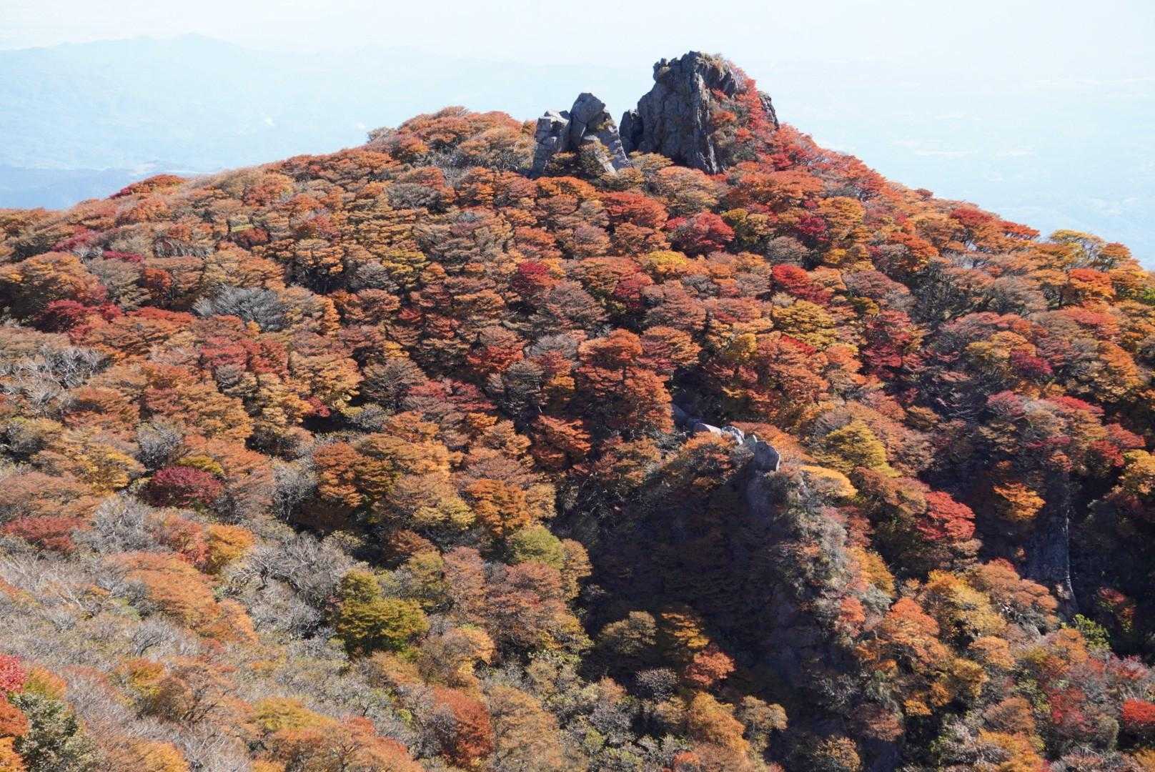 大船山 往復コースの写真