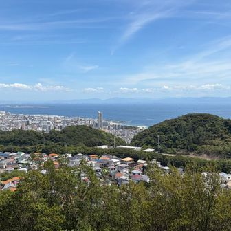 こちらからも素晴らしく景色は良き👏