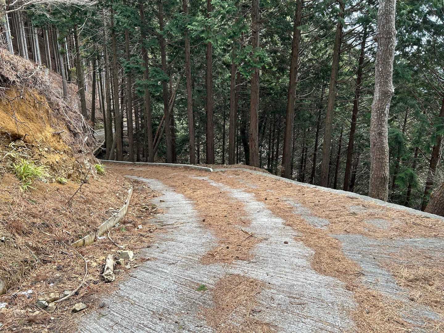 帰りは途中林道あり

リンダリンダ〜リンダリンダリンダ〜
林道林道〜林道林道林道〜お〜