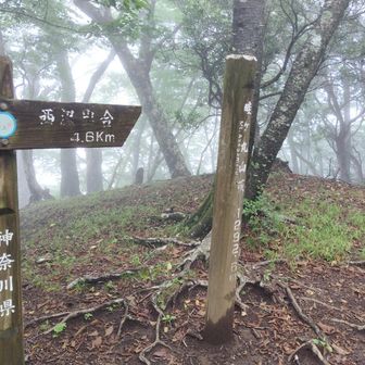 畦ヶ丸山頂