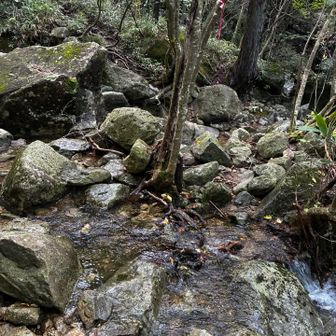 小さな沢飛びが何回もある

浅いので気を使わずそのまま歩いても行ける