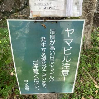 今日は安全日なのか危険日なのか