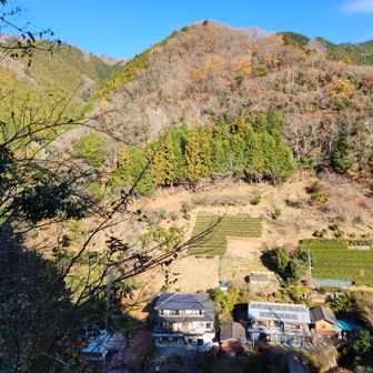 登山道途中の展望地から和田の里の茶畑を望む