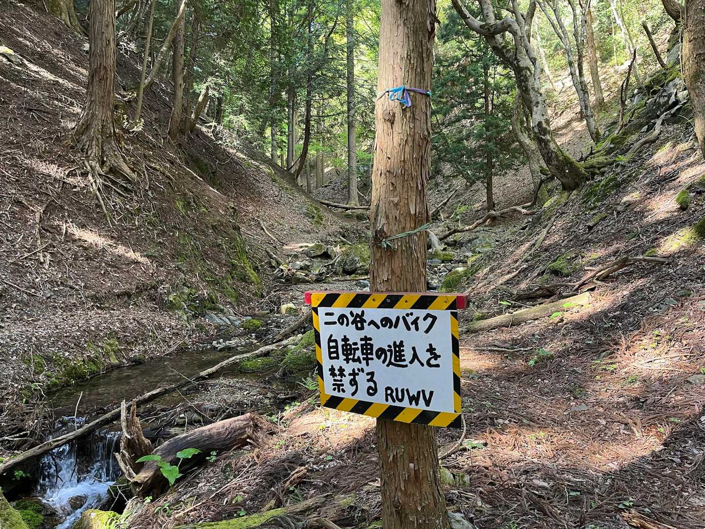 この辺りまで順調でしたが、この先二の谷出合からウロウロルート探しました🌀
本日はソロ歩きなのと、出発時刻が遅いので迷ったら大変🌀
YAMAP地図見ながら慎重に歩きました🚶
