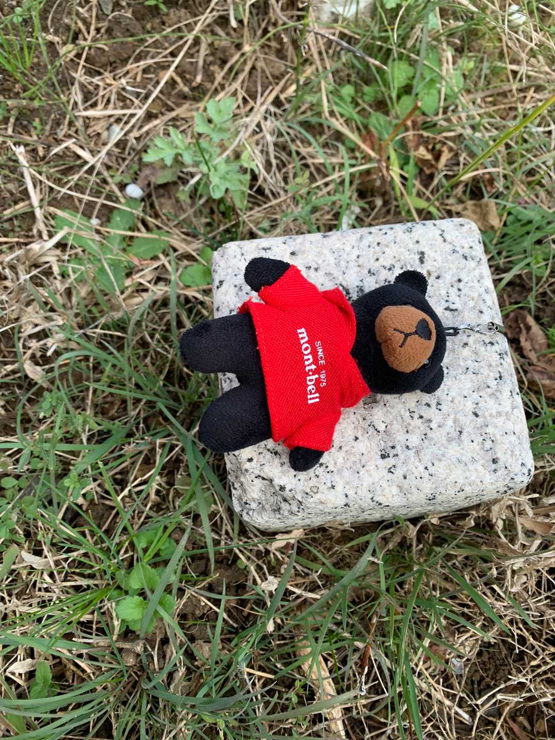 そんなこんなで韮山ゲット🐻