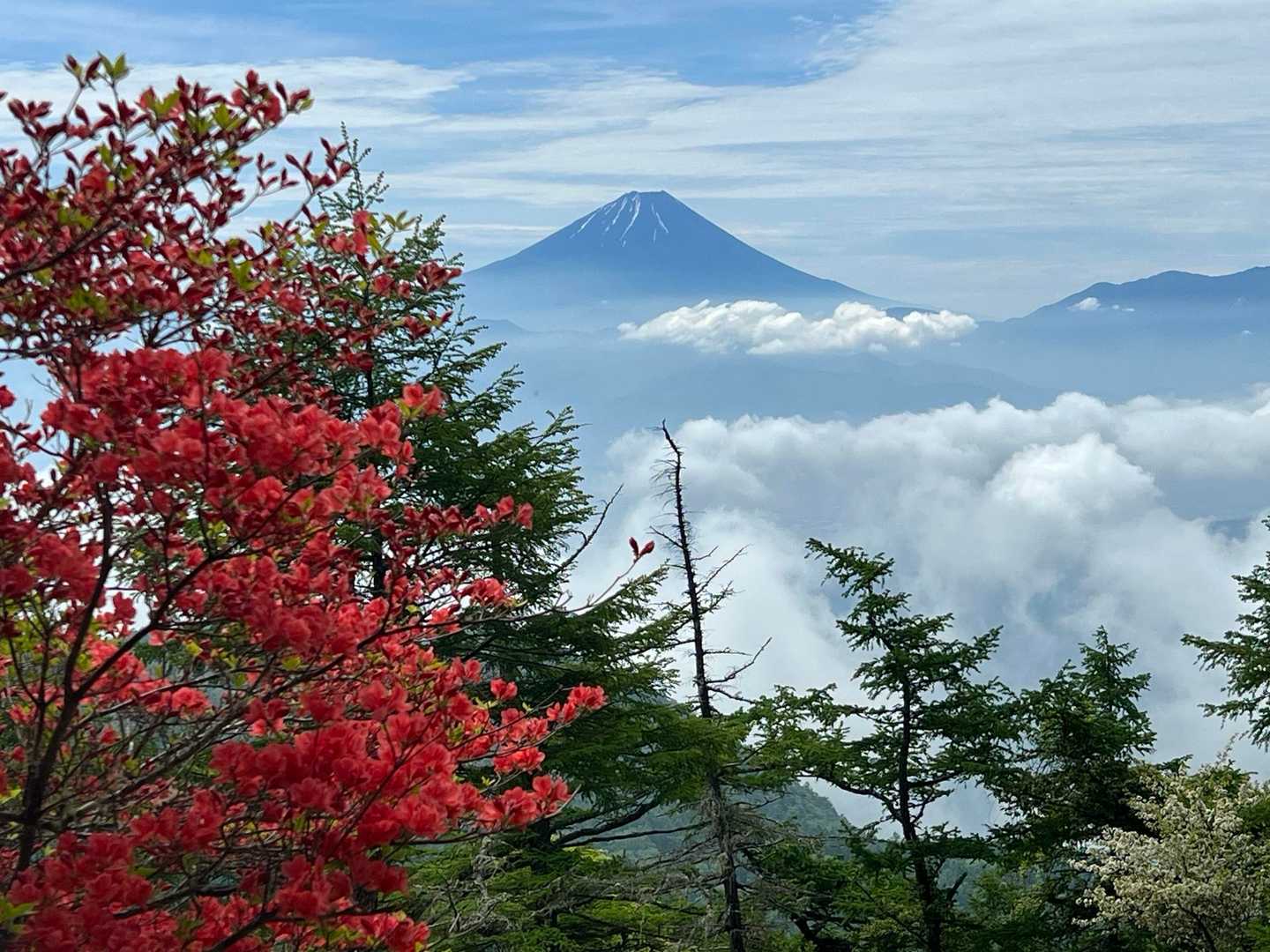 甘利山-千頭星山 往復コースの写真