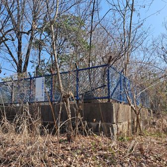 荒れた感じ
夏場はもっと大変だ😟