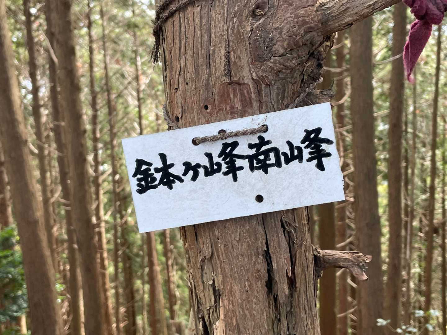 鉢ヶ峰南峰