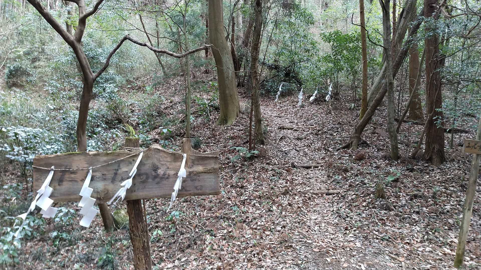 ここから林道に出ました。ユッピーの森はこの次の楽しみに。