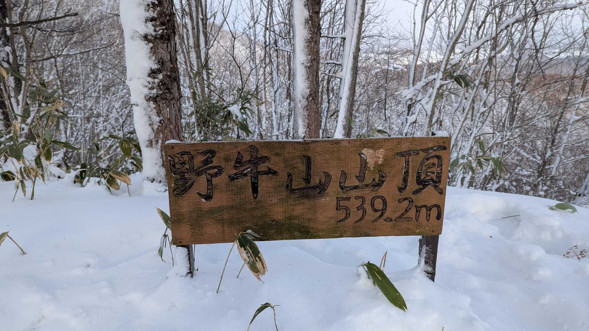 柳生じゃなくて、野牛山。