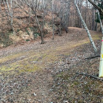 林道歩きは１時間弱と長め。林道部分はそんなに斜度がなく、あとでまとめてくる感じかなと当たりをつける