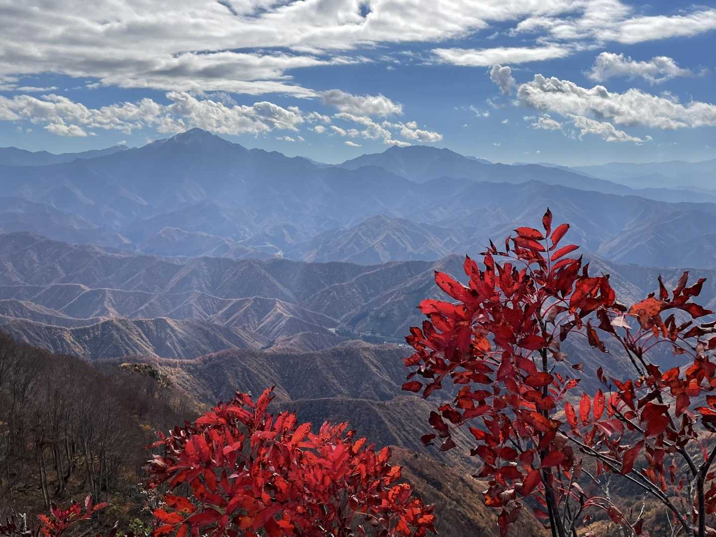 唐松山 往復コースの写真