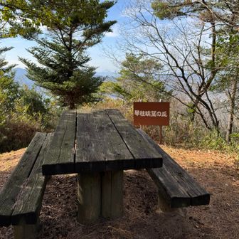 琴柱眺望の丘

ここでちょっと休憩