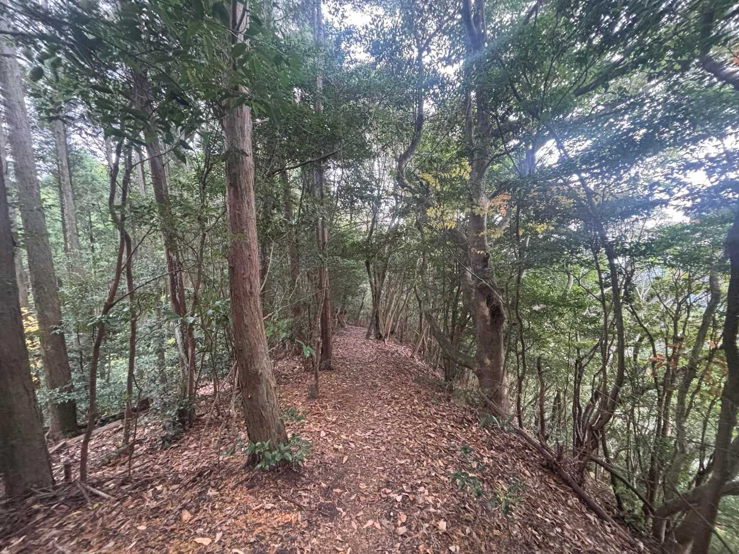 スキップしたくなる程歩きやすい♬.*ﾟ