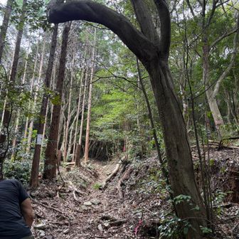 あまり人が通らないのかな、、