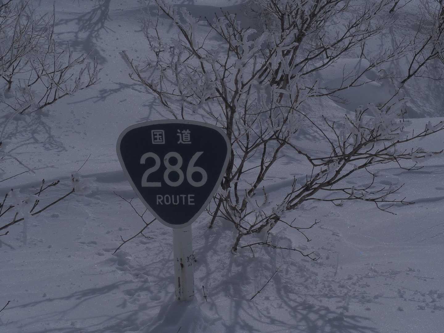 標識もここまで埋まる！！