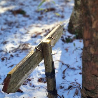 無事確認。ちゃんと立っていました(*^^*)