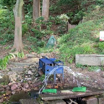 オアシス酒清水からのー