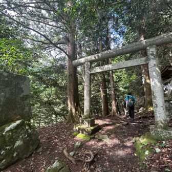 登山道に入ると鳥居

途中の清滝避難小屋までは谷沿いを進む。