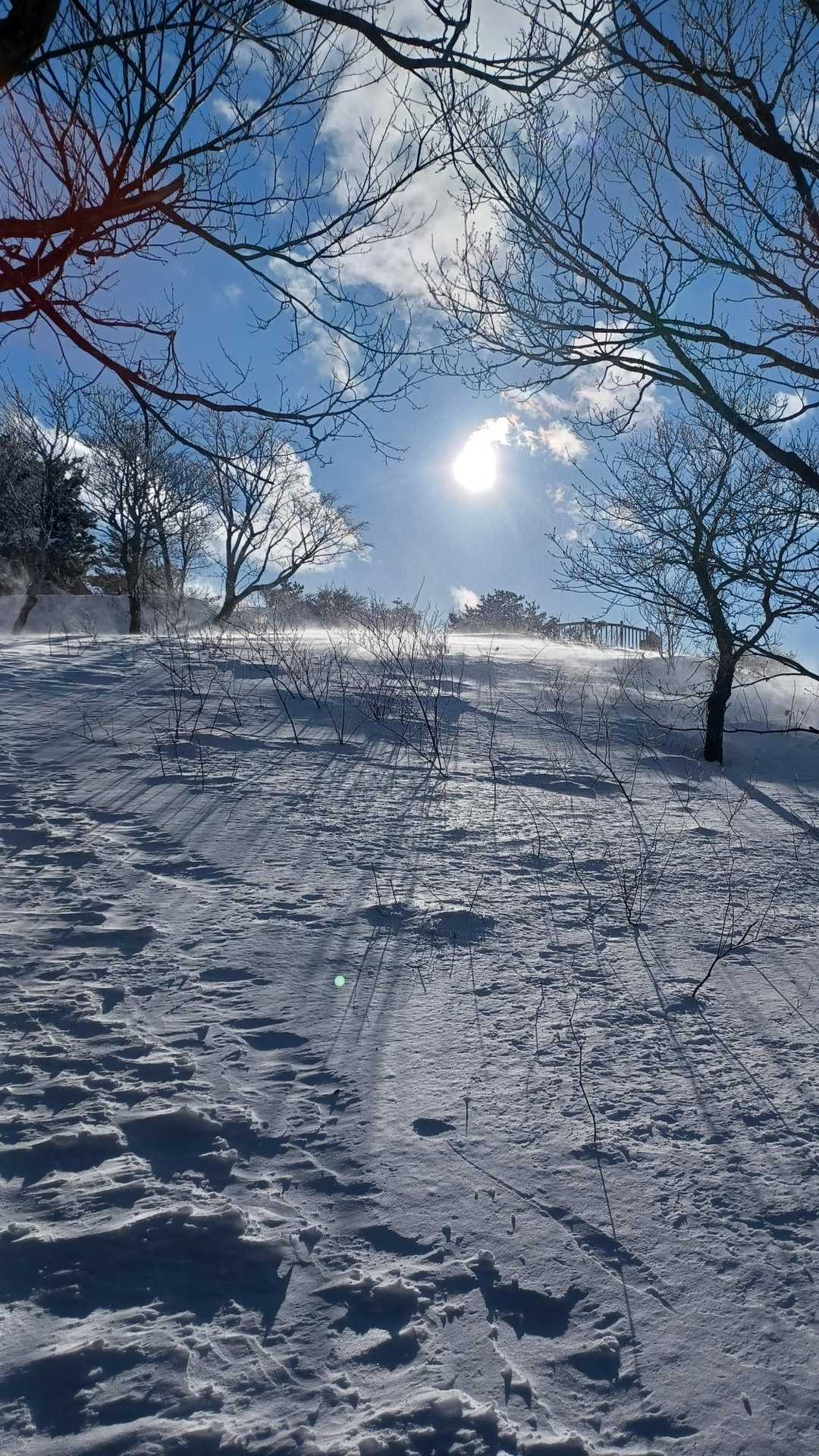 てっぺん直前は風の通り道。トレースなくなり膝までのつぼ足