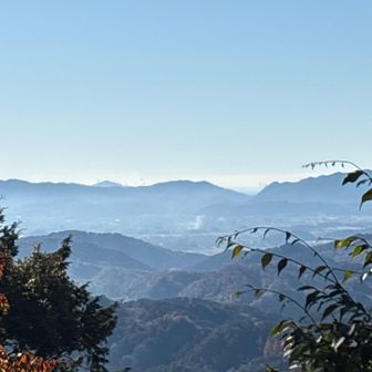 からの眺望
遠くに名古屋ビル群