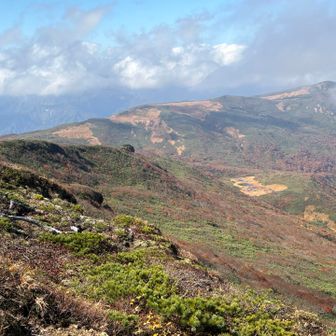 秣岳への縦走路。
繰り返し草紅葉の原が見えます。今日はパス
