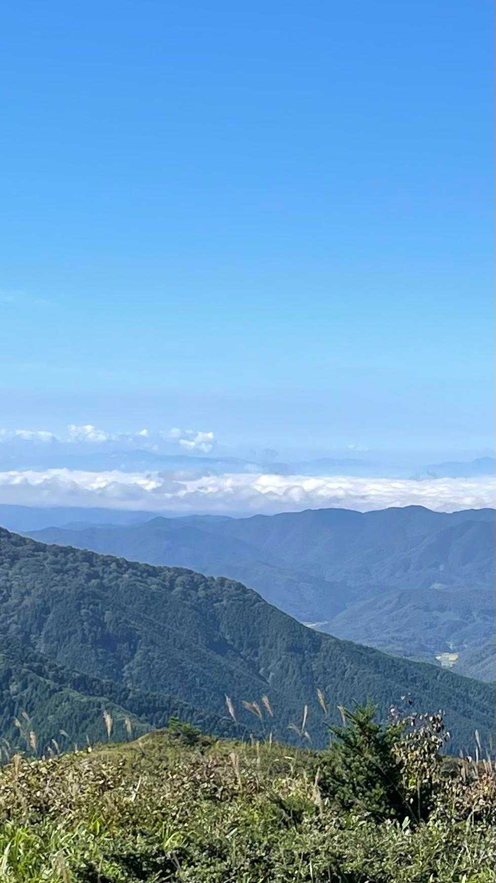 雲海🩷