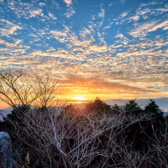 ちょっとだけ日の出🌄
これもまた最高でしゅ😆