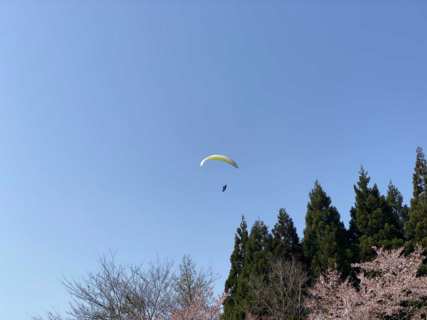 愛の不時着❤️見ましたか？🤣