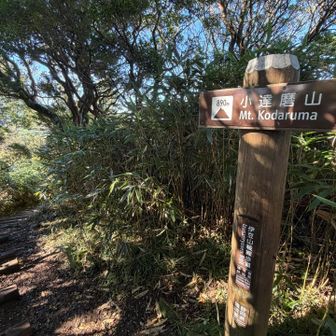小達磨山山頂