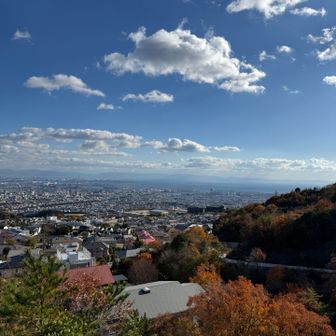 天気予報は曇りだったけど、いい天気だぁー😊