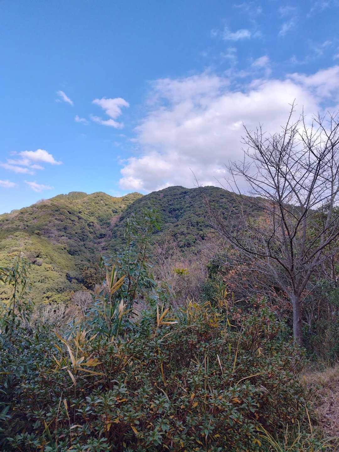 さくら山まで下って、もう一度遠見岳✨なかなか、よかお山でした✌今日も楽しかった😁ありがとうございます🎵
