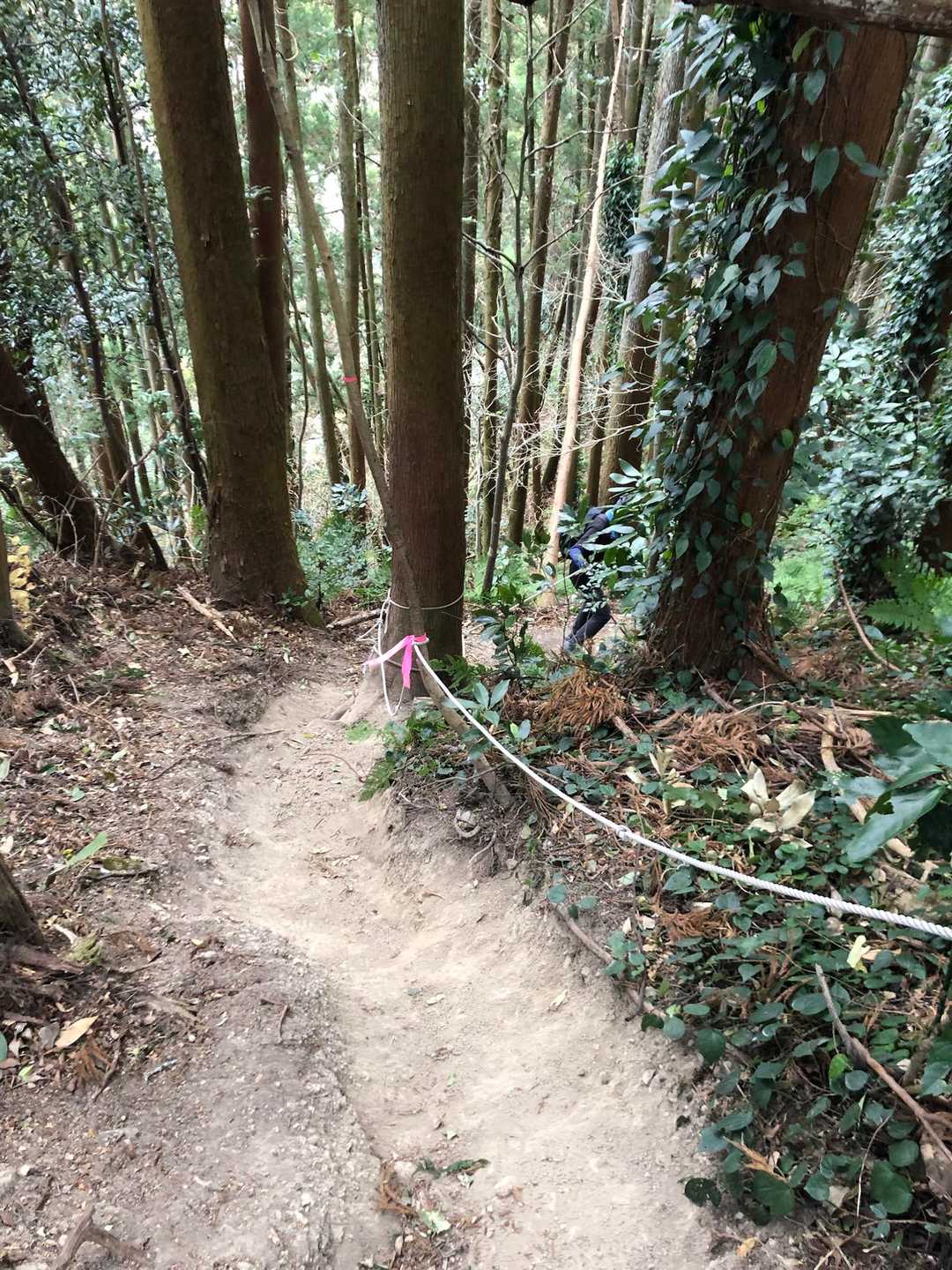 下りもわりと急でロープがないとズルズル滑りやすいです