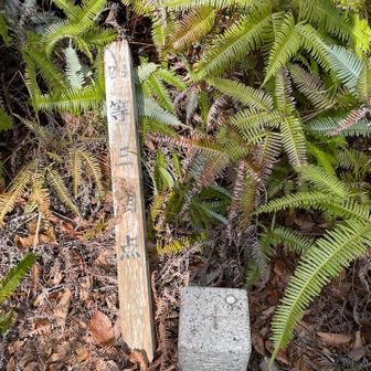 次の引尾山は眺望なし