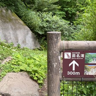 ここからは歩きやすい靴をおすすめ