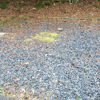 展望台跡？
ここが中尾山方面への分岐でした。