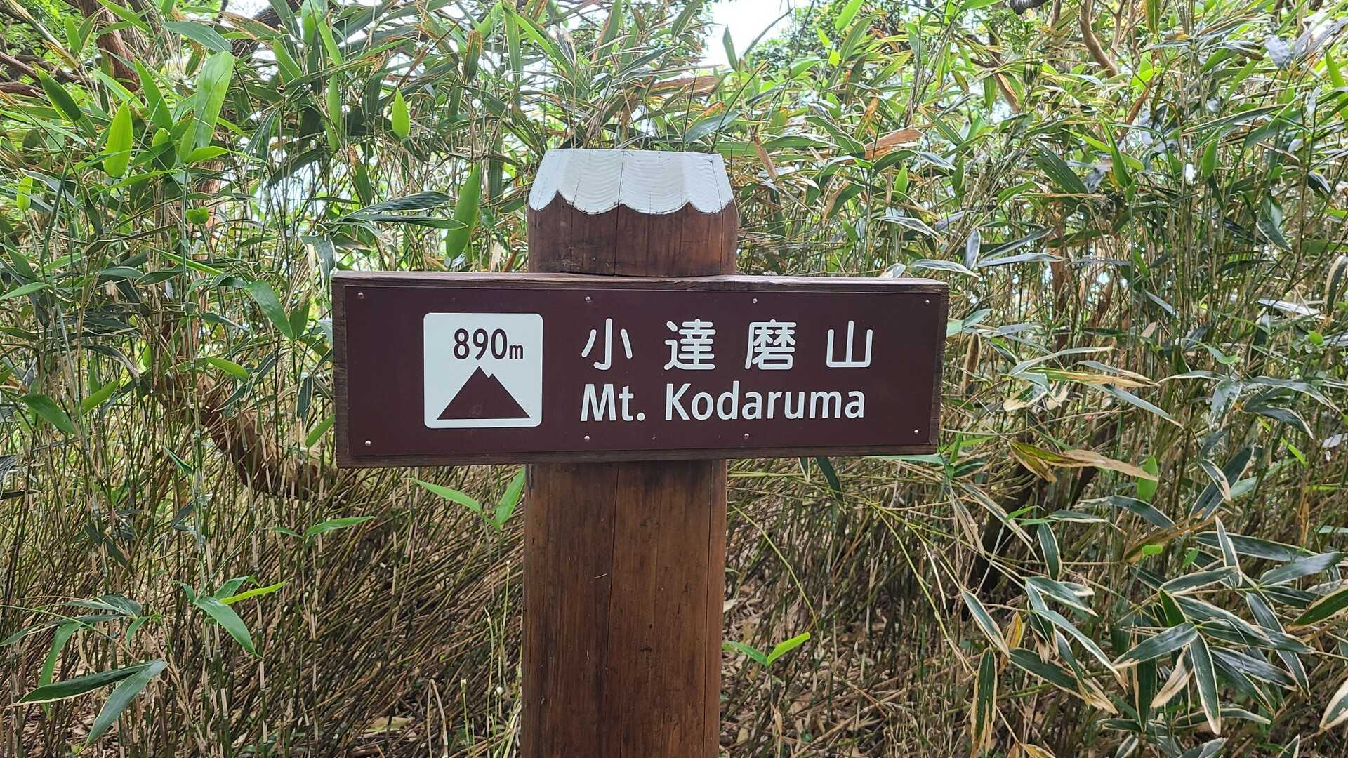 小達磨山の写真