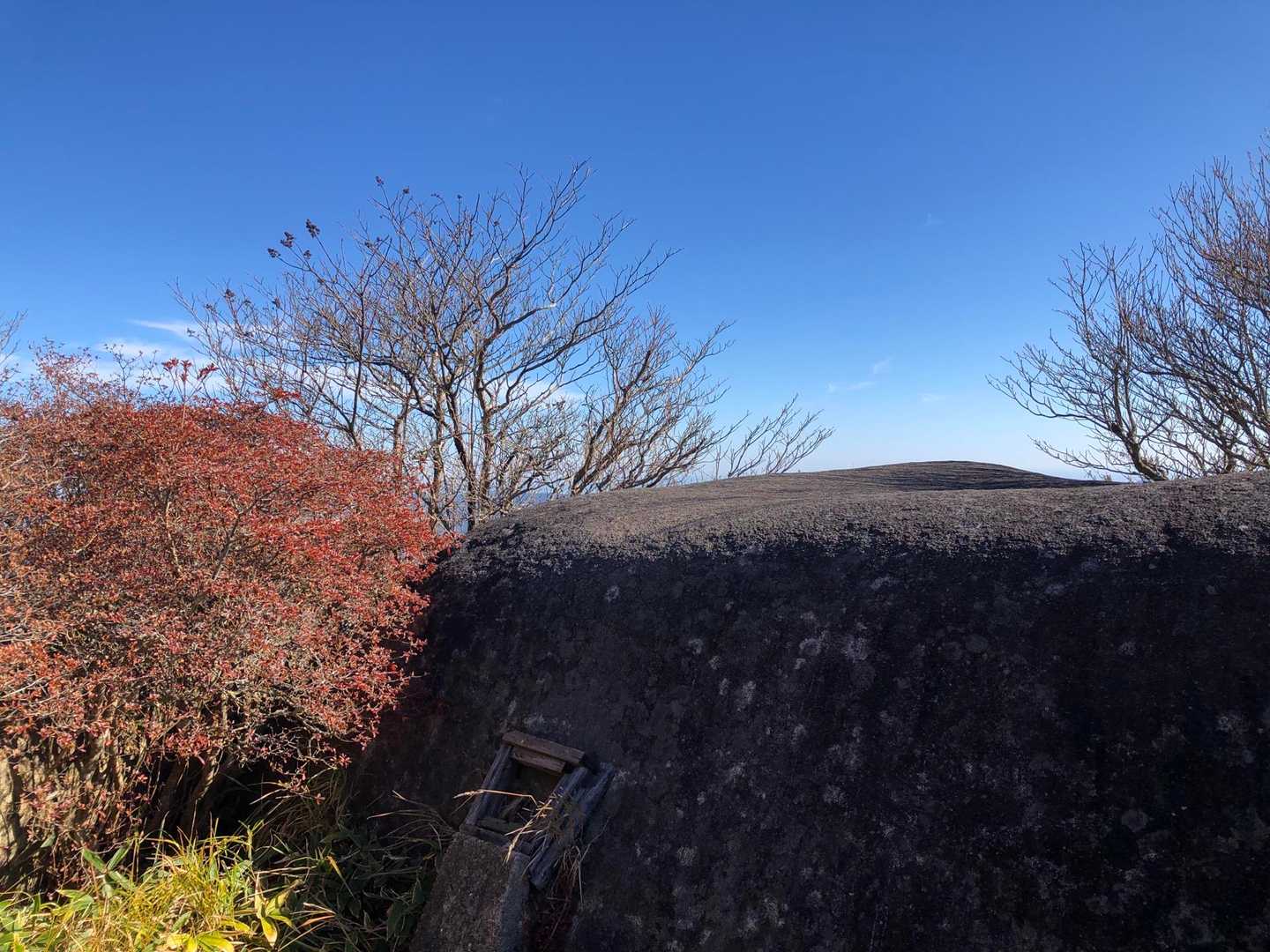 🍁紅葉とペラペラ石🪨

ここでコーヒータイム☕️
のはずが
カップ忘れてきた💦😢