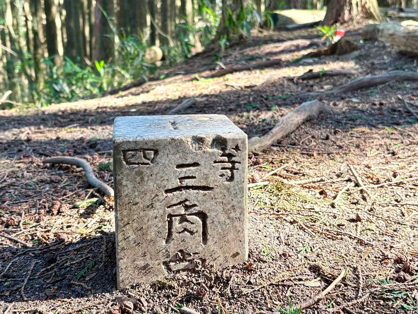 🔺鳥見山山頂✨