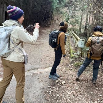 氷瀑見にいくよ〜