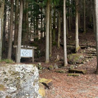 １台デポっていた🅿️に無事にげざーん🙌久しぶりに翌日両手両足筋肉痛になりました！ほんとにハードコースなので、歩かれる方は慎重にで🙇‍♀️