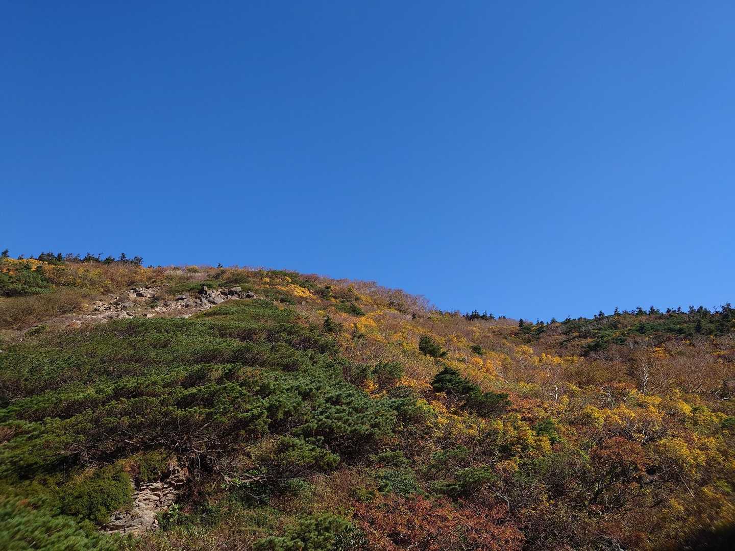 八甲田大岳登山口-八甲田山-井戸岳-毛無岱湿原経由八甲田登 縦走コースの写真