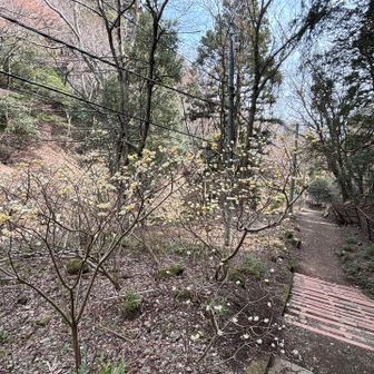 不動尻も行ってみたい