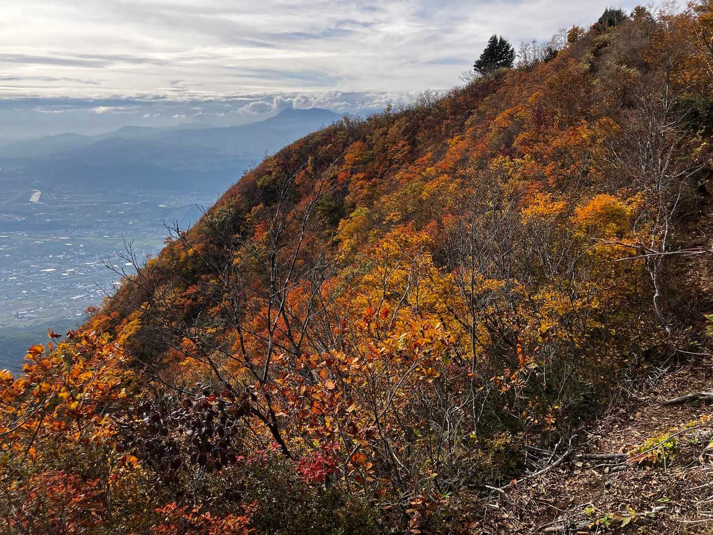 なんてきれいなの🍁🍂🍁🌰
