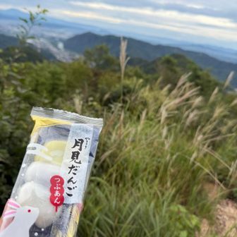 ススキが👌