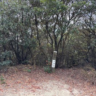 小弥山山頂❗️