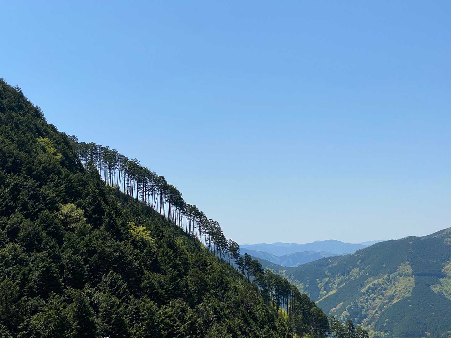 白草山登山口-白草山 周回コースの写真