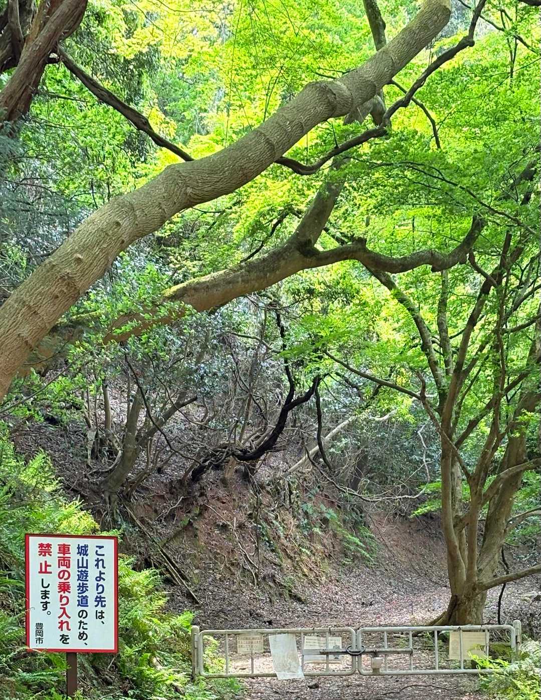 鯵山峠(あじやまとおげ)
