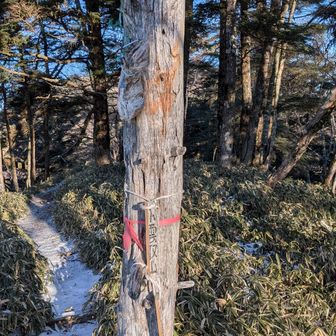 1日目には登らなかった小雲取にも登りました。今日の一番乗りw